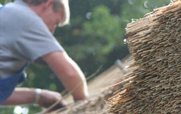 professional Cranborne thatchers