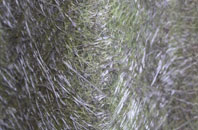 Cranborne fibreglass roof work